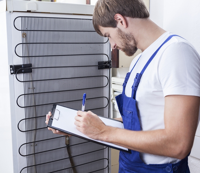 Handyman During Fridge Repair